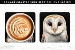 Owl Square Coaster Design | Square Coaster PNG Product Image 1