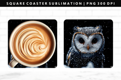 Owl Square Coaster Design | Square Coaster PNG Product Image 1