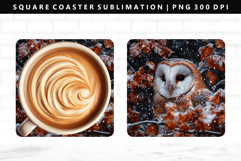 Owl Square Coaster Design | Square Coaster PNG Product Image 1