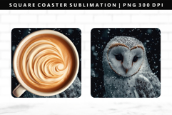Owl Square Coaster Design | Square Coaster PNG Product Image 1
