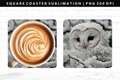 Owl Square Coaster Design | Square Coaster PNG Product Image 1