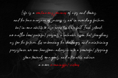 Street Redemption Product Image 7