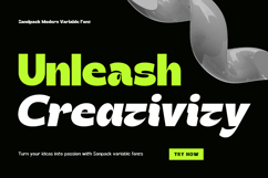 Sandpack - Modern Variable Sans Product Image 3