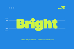 First Bunny - Chunky Bold Display Product Image 7