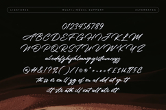 Corbellion - Elegant Script Font Product Image 8