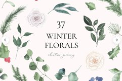 Watercolor winter florals clipart - Christmas greenery Product Image 1