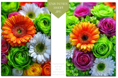 St Patrick's Day Backgrounds, Irish, Card, Garden Flag, s13 Product Image 2