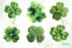 St. Patrick’s Day Clover Watercolor Product Image 5