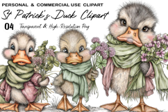 St Patrick's Duck Clipart Product Image 1