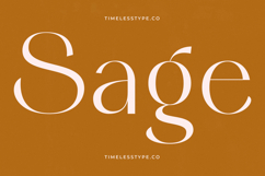 Stack Qisplay - Elegant Sans Serif Font Product Image 7