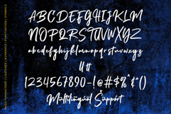 Stallion Attacks | A Stylish Handwritten Brush Font Product Image 9
