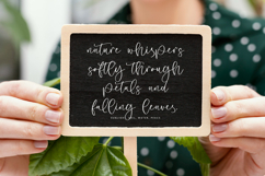Staly Celestial - A Beauty Handwritten Script Font Product Image 2