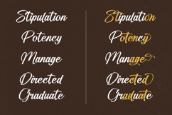 Standard Vertical - Modern Brush Font Product Image 4