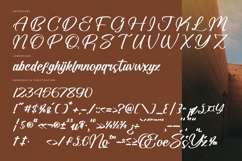 Standard Vertical - Modern Brush Font Product Image 18