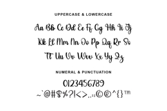 Santoria Elegant Script Font Product Image 2
