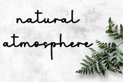 Stanting Product Image 5