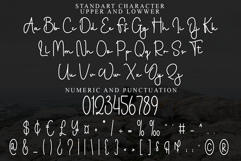 Stanting Product Image 7