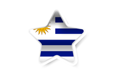Star shape uruguay national flag sticker design Product Image 1