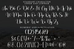 Stardust Product Image 4