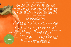 Starfall Nights - New Modern Handbrush Script Product Image 18