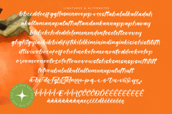 Starfall Nights - New Modern Handbrush Script Product Image 19