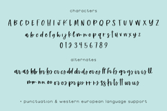 Starfield Script Product Image 10