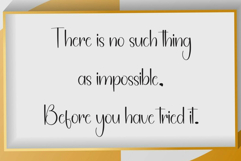 Starfish Product Image 6