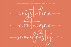 Starhontis Clentiona - Stylish Signature Font Product Image 13