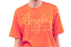 Starhontis Clentiona - Stylish Signature Font Product Image 15