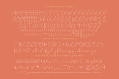 Starhontis Clentiona - Stylish Signature Font Product Image 18