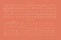 Starhontis Clentiona - Stylish Signature Font Product Image 19