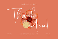 Starhontis Clentiona - Stylish Signature Font Product Image 20