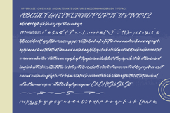 Starligh Timber Modern Handbrush Script Product Image 14