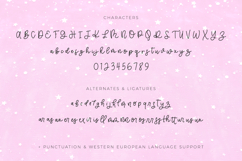 Starwish Script Product Image 10