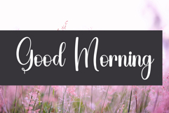 Stay Classy Product Image 5