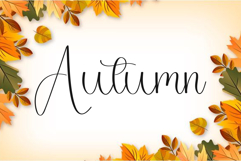 Stay Family Product Image 4