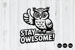 Stay Owlsome SVG, Funny Owl SVG, Owl SVG Product Image 1