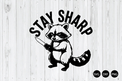 Stay Sharp SVG, Funny Raccoon SVG, Sarcasm SVG Product Image 1