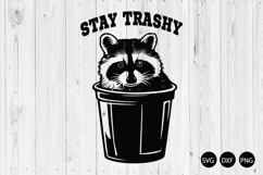 Stay Trashy Raccoon in Trashcan SVG, Raccoon SVG Product Image 1