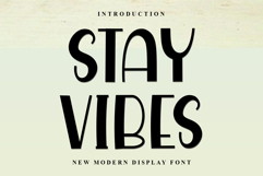 Stay Vibes Product Image 1