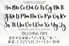 Staylish Product Image 5