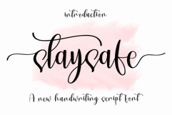 Staysafe Product Image 1