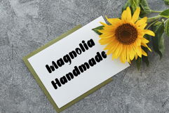 Staytion Product Image 4