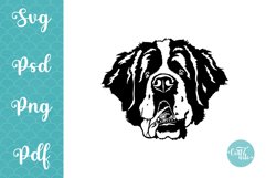 Saint Bernard SVG cut file, Saint Bernard svg design Product Image 1
