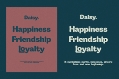 Steffu Poifated Playful Retro Display Font Product Image 2