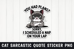 Sarcastic cat quote sticker design png Product Image 1