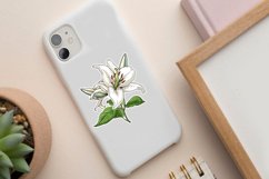 Lily Sticker Clipart Bundle Product Image 4