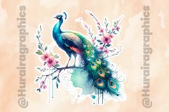 Peacock|Printable Animal Sticker Product Image 2