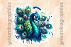 Peacock|Printable Animal Sticker Product Image 2