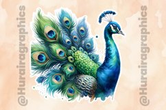 Peacock|Printable Animal Sticker Product Image 2